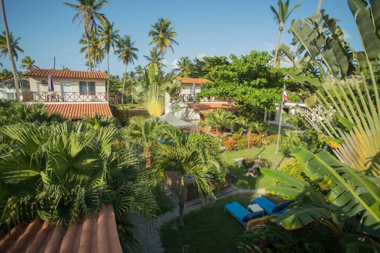 Hotel 21 Palms à Las Galeras Extérieur photo
