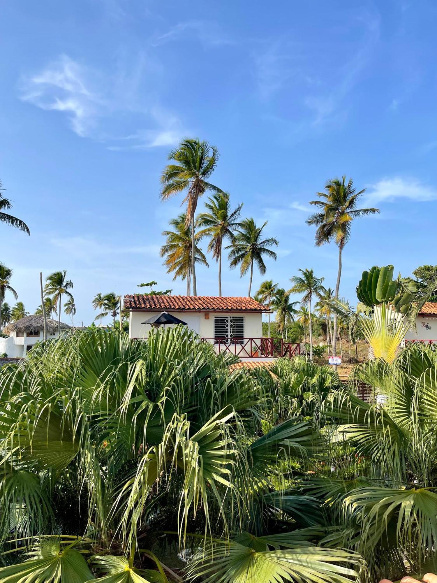 Hotel 21 Palms à Las Galeras Extérieur photo
