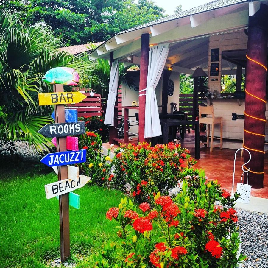 Hotel 21 Palms à Las Galeras Extérieur photo