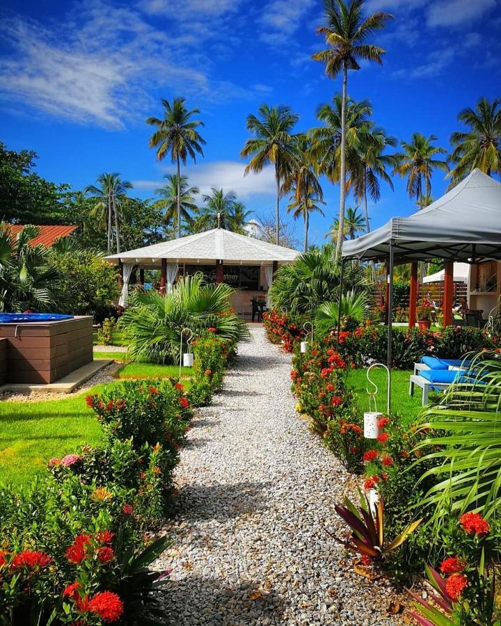 Hotel 21 Palms à Las Galeras Extérieur photo